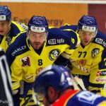 Mistrovský tah trenérů poslal budějovický Motor do semifinále!