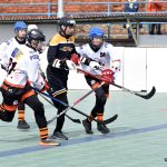 Písek - Suchdol nad Lužnicí 