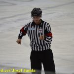 Plameny zhasly už v první třetině. Tábor vede 1:0