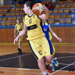 Písečtí Sršni vstoupí do boje o titul z druhého místa
