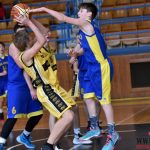 Písečtí Sršni vstoupí do boje o titul z druhého místa