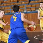 Písečtí Sršni vstoupí do boje o titul z druhého místa