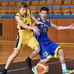 Písečtí Sršni vstoupí do boje o titul z druhého místa