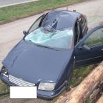 Další smrtelná nehoda. U Rodvínova srazilo auto chodce