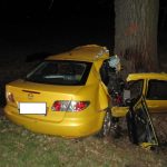 Náraz auta do stromu u Tučap nepřežil 19letý mladík a 15letá dívka