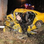 Náraz auta do stromu u Tučap nepřežil 19letý mladík a 15letá dívka