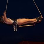 Cirkus Arlet baví děti vystoupením psíků