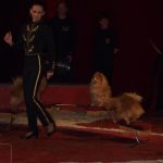 Cirkus Arlet baví děti vystoupením psíků