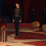 Cirkus Arlet baví děti vystoupením psíků