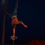 Cirkus Arlet baví děti vystoupením psíků