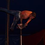 Cirkus Arlet baví děti vystoupením psíků