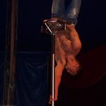 Cirkus Arlet baví děti vystoupením psíků