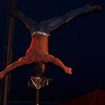 Cirkus Arlet baví děti vystoupením psíků