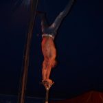 Cirkus Arlet baví děti vystoupením psíků