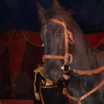 Cirkus Arlet baví děti vystoupením psíků