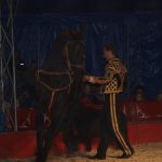 Cirkus Arlet baví děti vystoupením psíků