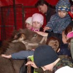 Cirkus Arlet baví děti vystoupením psíků