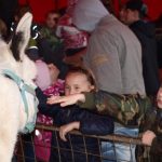Cirkus Arlet baví děti vystoupením psíků