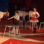Cirkus Arlet baví děti vystoupením psíků