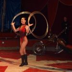 Cirkus Arlet baví děti vystoupením psíků