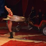 Cirkus Arlet baví děti vystoupením psíků