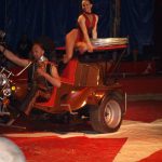 Cirkus Arlet baví děti vystoupením psíků