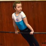 Písecký Sokol pořádal župní přebor v gymnastice a šplhu