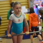 Písecký Sokol pořádal župní přebor v gymnastice a šplhu