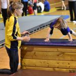 Písecký Sokol pořádal župní přebor v gymnastice a šplhu