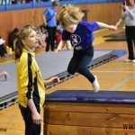 Písecký Sokol pořádal župní přebor v gymnastice a šplhu