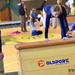 Písecký Sokol pořádal župní přebor v gymnastice a šplhu