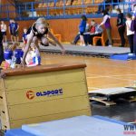 Písecký Sokol pořádal župní přebor v gymnastice a šplhu