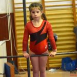 Písecký Sokol pořádal župní přebor v gymnastice a šplhu