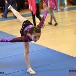 Písecký Sokol pořádal župní přebor v gymnastice a šplhu