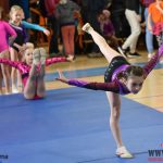 Písecký Sokol pořádal župní přebor v gymnastice a šplhu