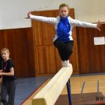 Písecký Sokol pořádal župní přebor v gymnastice a šplhu