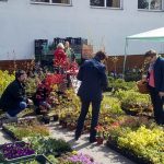 Radimovice provoněly květiny. Výstava pokračuje i v sobotu