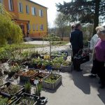 Radimovice provoněly květiny. Výstava pokračuje i v sobotu