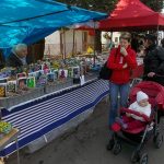 Radimovice provoněly květiny. Výstava pokračuje i v sobotu