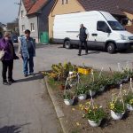 Radimovice provoněly květiny. Výstava pokračuje i v sobotu