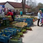 Radimovice provoněly květiny. Výstava pokračuje i v sobotu