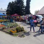Radimovice provoněly květiny. Výstava pokračuje i v sobotu