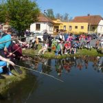 V Nišovicích loví pstruhy na klacek