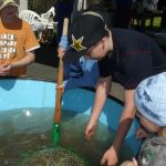 V Nišovicích loví pstruhy na klacek