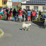 V Nišovicích loví pstruhy na klacek