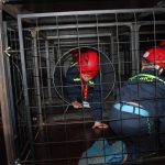 V hasičské soutěži Mladý záchranář zvítězili Rebelové z Malšic a Sedličtí medvědi