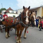 Do Bechyně dorazil Karel IV. Bavili ho žáci místní školy