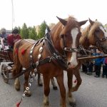 Do Bechyně dorazil Karel IV. Bavili ho žáci místní školy