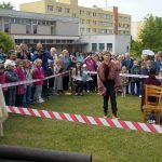Do Bechyně dorazil Karel IV. Bavili ho žáci místní školy