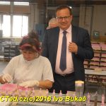 Ministr Mládek chtěl vidět světově úspěšný tým Brisku